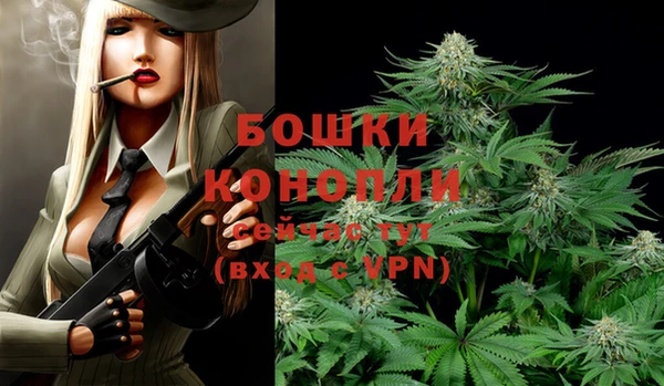 героин Вяземский
