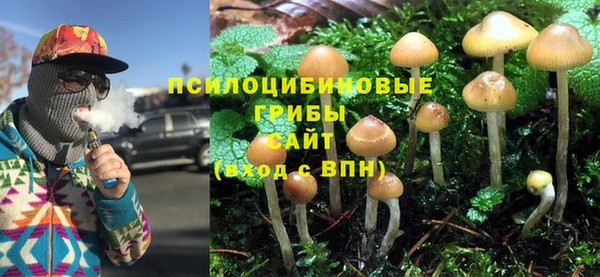 2c-b Волосово