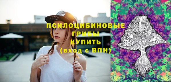 ешки Вязьма