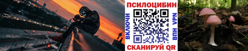 мега ONION  Чегем  Галлюциногенные грибы GOLDEN TEACHER  магазин   