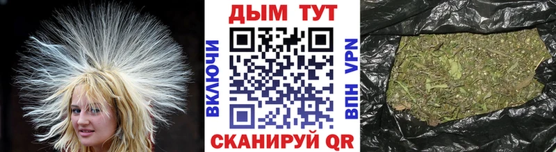 Шишки марихуана ГИДРОПОН  цена   Чегем 